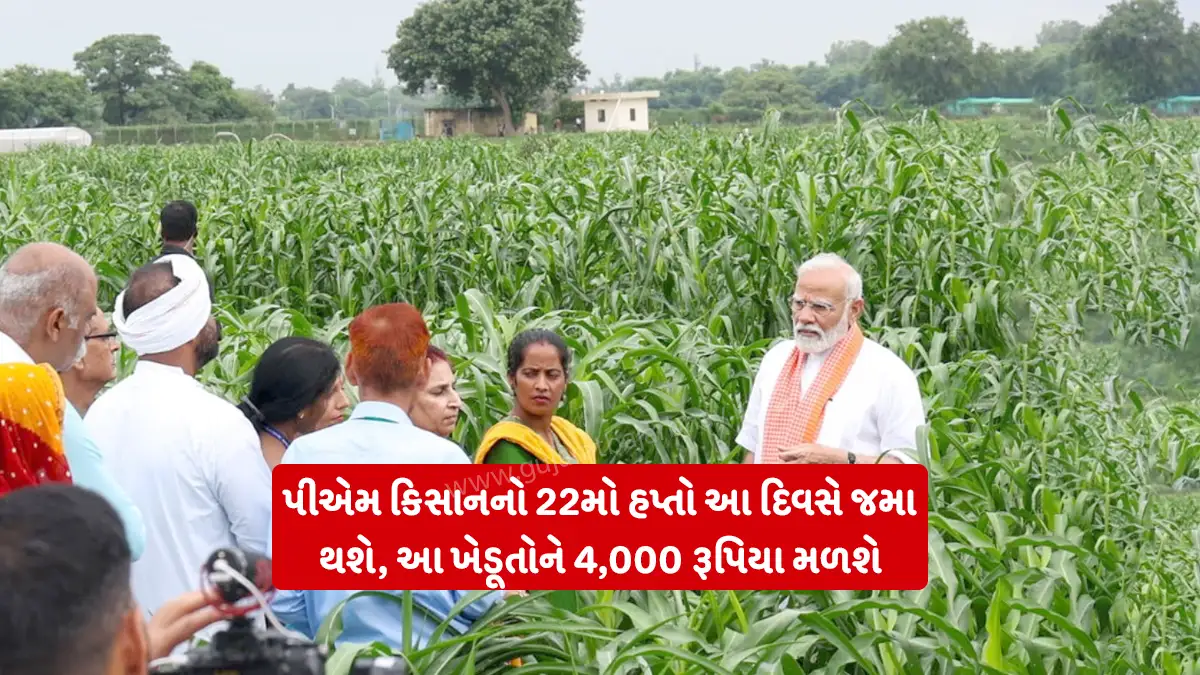 PM Kisan 22nd installment update: પીએમ કિસાનનો 22મો હપ્તો will be deposited on this day, these farmers will get Rs 4,000