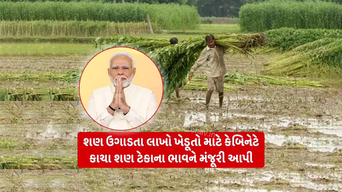 શણ ટેકાના ભાવ: Cabinet approves Minimum Support Price for Raw Jute for 2026-27 Season