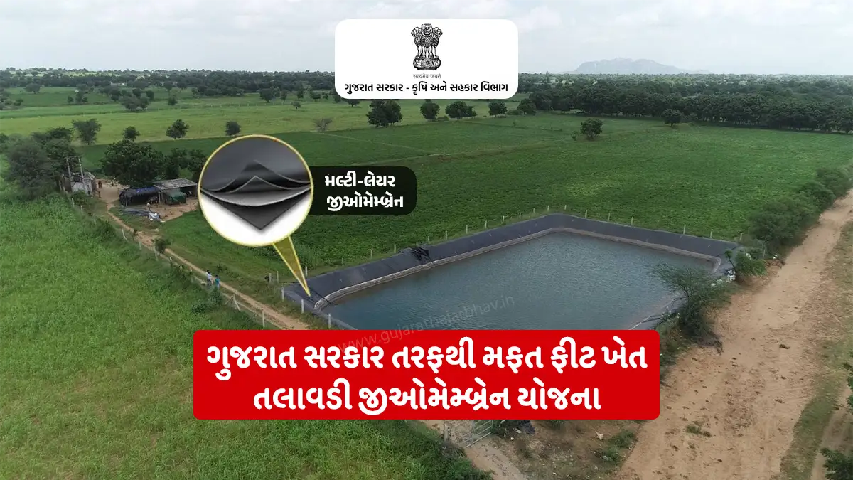 khet talavadi yojana: Government scheme for Gujarat farmers: Government free fit geomembrane in farm ponds; Worries about irrigation water will now be removed