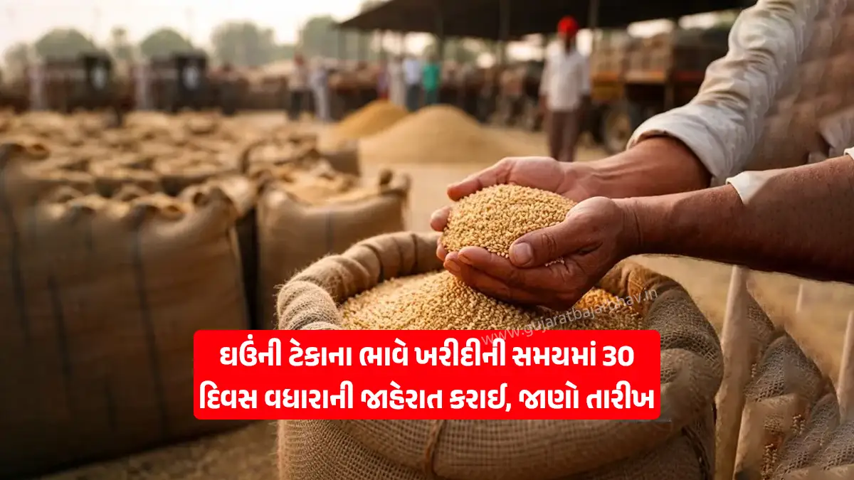 Important news for farmers: Official announcement of 30 days extension in the deadline for purchasing wheat at MSP under the Rabi marketing season in Gujarat