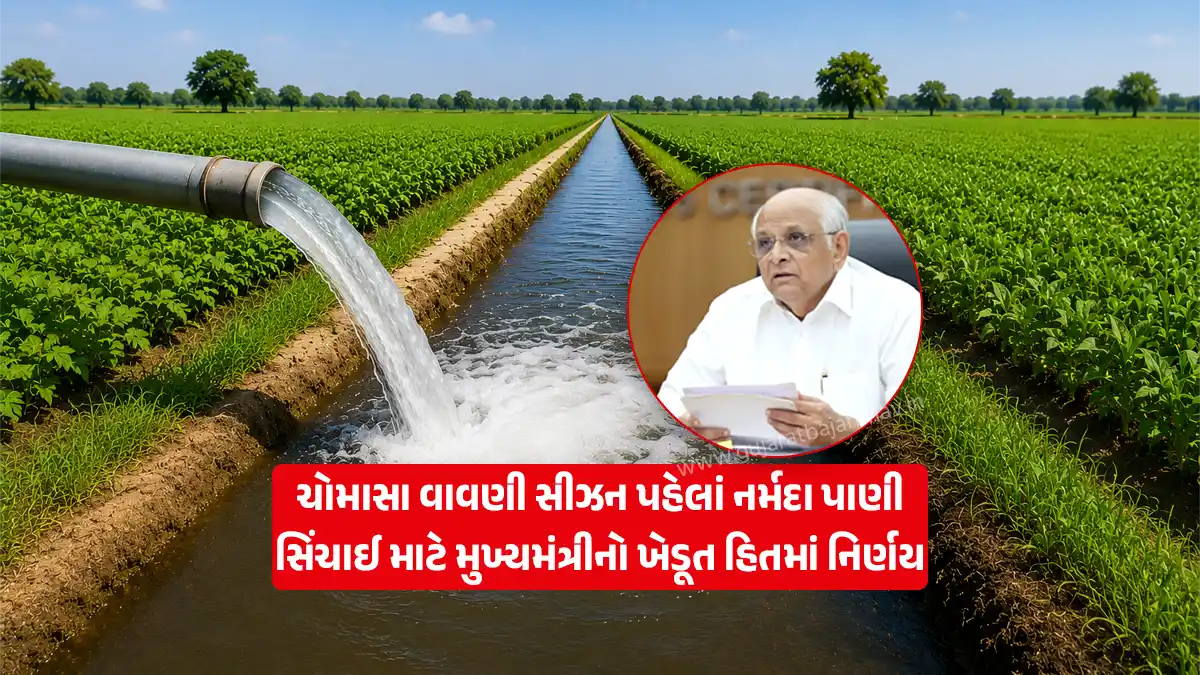 Good news for Gujarat farmers: Narmada water will be released for irrigation in canals before the monsoon sowing season in Gujarat, an important decision of Chief Minister Bhupendra Patel