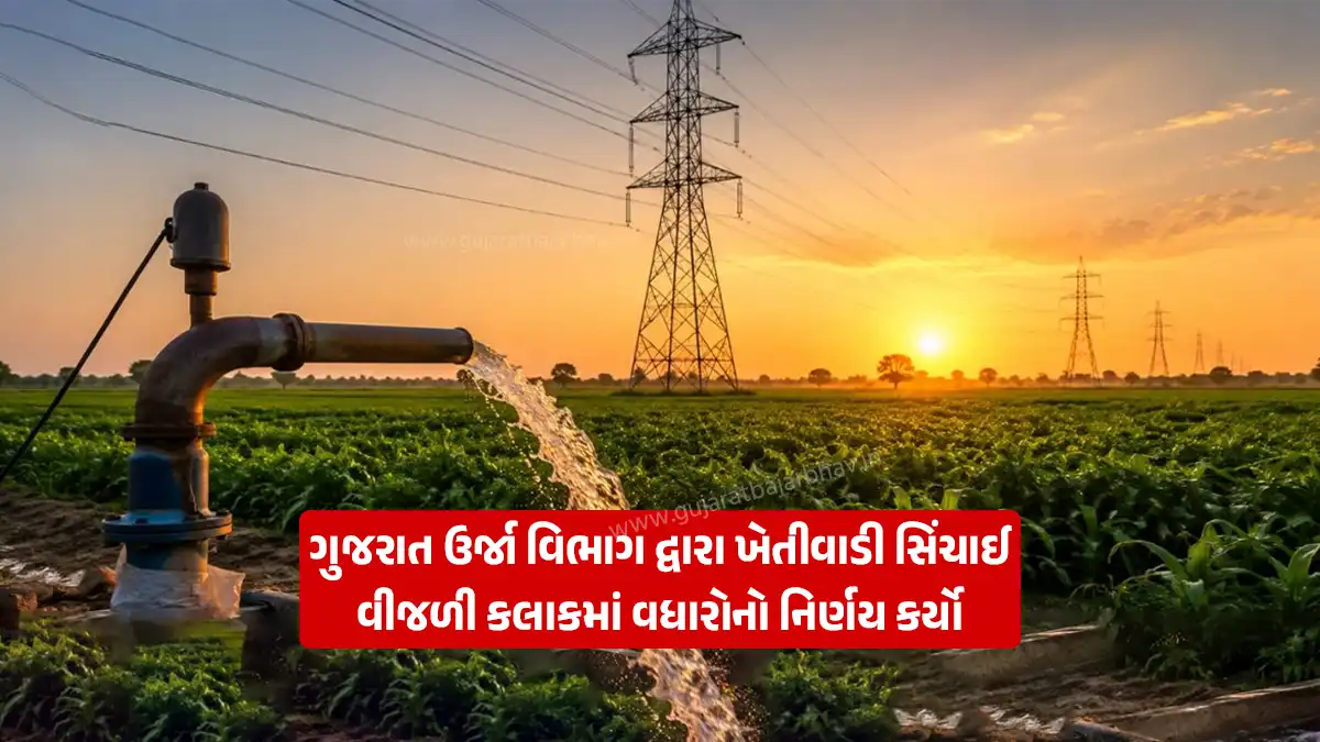 Government farmer decision: The government decided provide 10 hours of irrigation electricity for farmers to protect the sowing crops