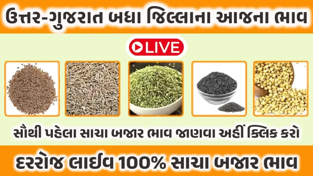 North (Uttar) gujarat market yard bajar bhav - ઉત્તર ગુજરાત માર્કેટયાર્ડ બજાર ભાવ 1 North Uttar gujarat market yard bajar bhav today, ઉત્તર ગુજરાત માર્કેટયાર્ડમાં આજના બજાર ભાવ