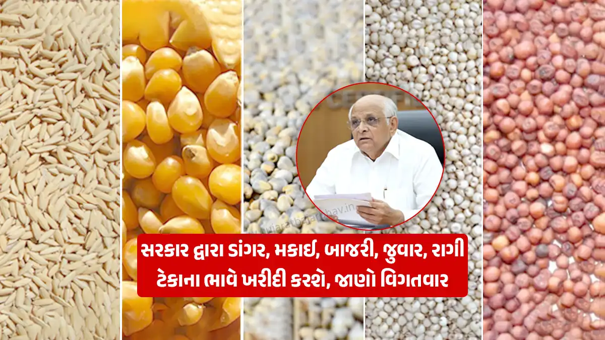 Kharif MSP 2026-27: Paddy, maize, pearl millet (bajra), sorghum (jowar), and finger millet (ragi) will be procured at support prices during the Kharif marketing season 2026-27