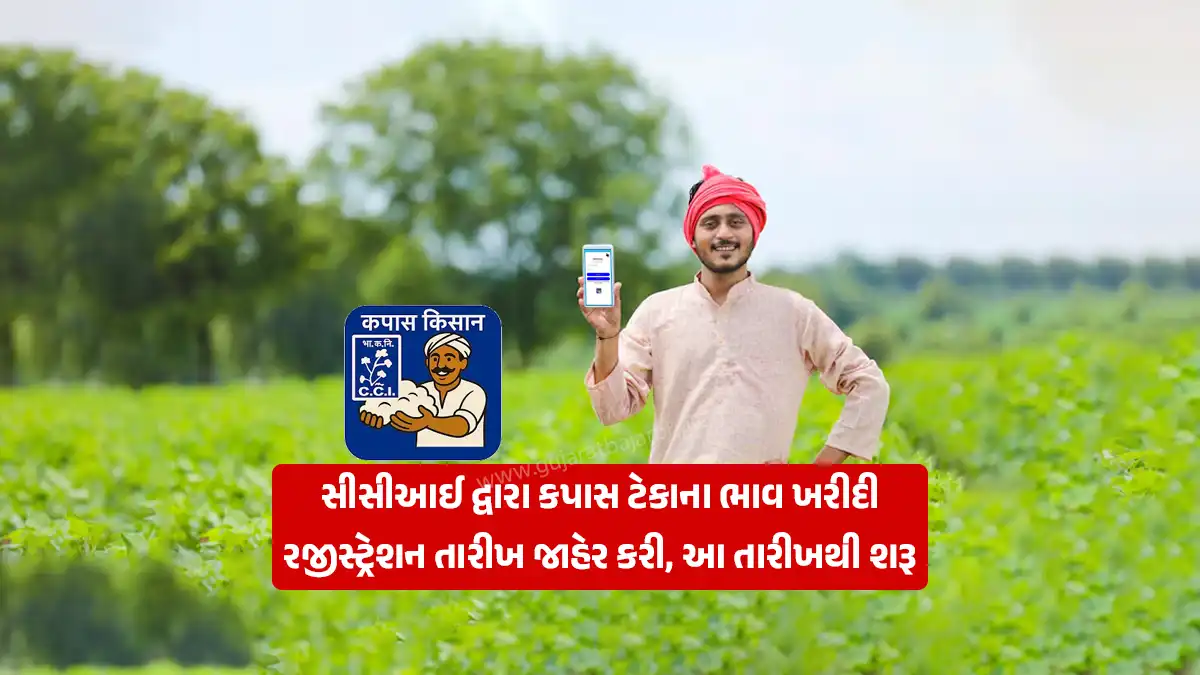 Cotton MSP: Cotton Support Price Purchase Registration Date in Cotton Kisan Mobile App by Cotton Corporation of India Limited