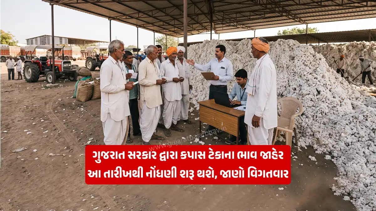 Gujarat Government announces cotton support prices; registration for procurement at support prices in 'Kapas Kisan' app begins on this date