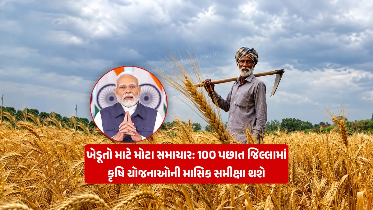 PM Dhan-Dhaanya Krishi Yojana: Collectors in 100 backward districts will review agricultural schemes every month under the new PM Dhan-Dhaanya Krishi Yojana aimed at increasing farmers income